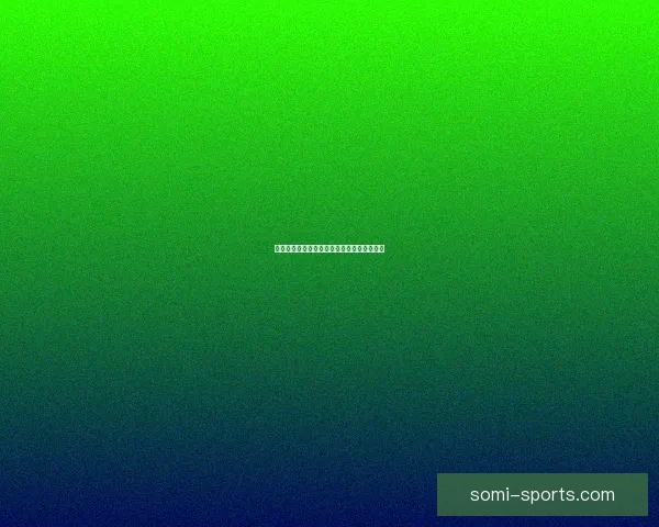 光影魔术手边框下载网站推荐与使用技巧解析