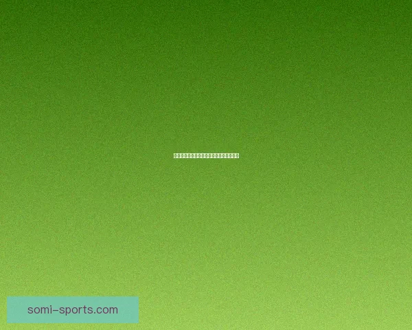 时空猎人猫女：跨越时空的冒险与命运之战